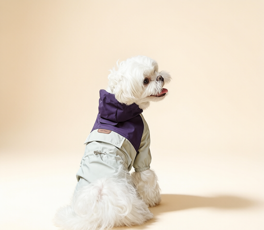 StormShield Dog Jacket