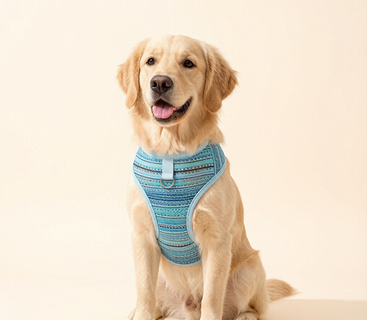 SunSafe Dog Shirt